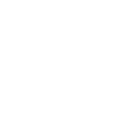 Vyroo